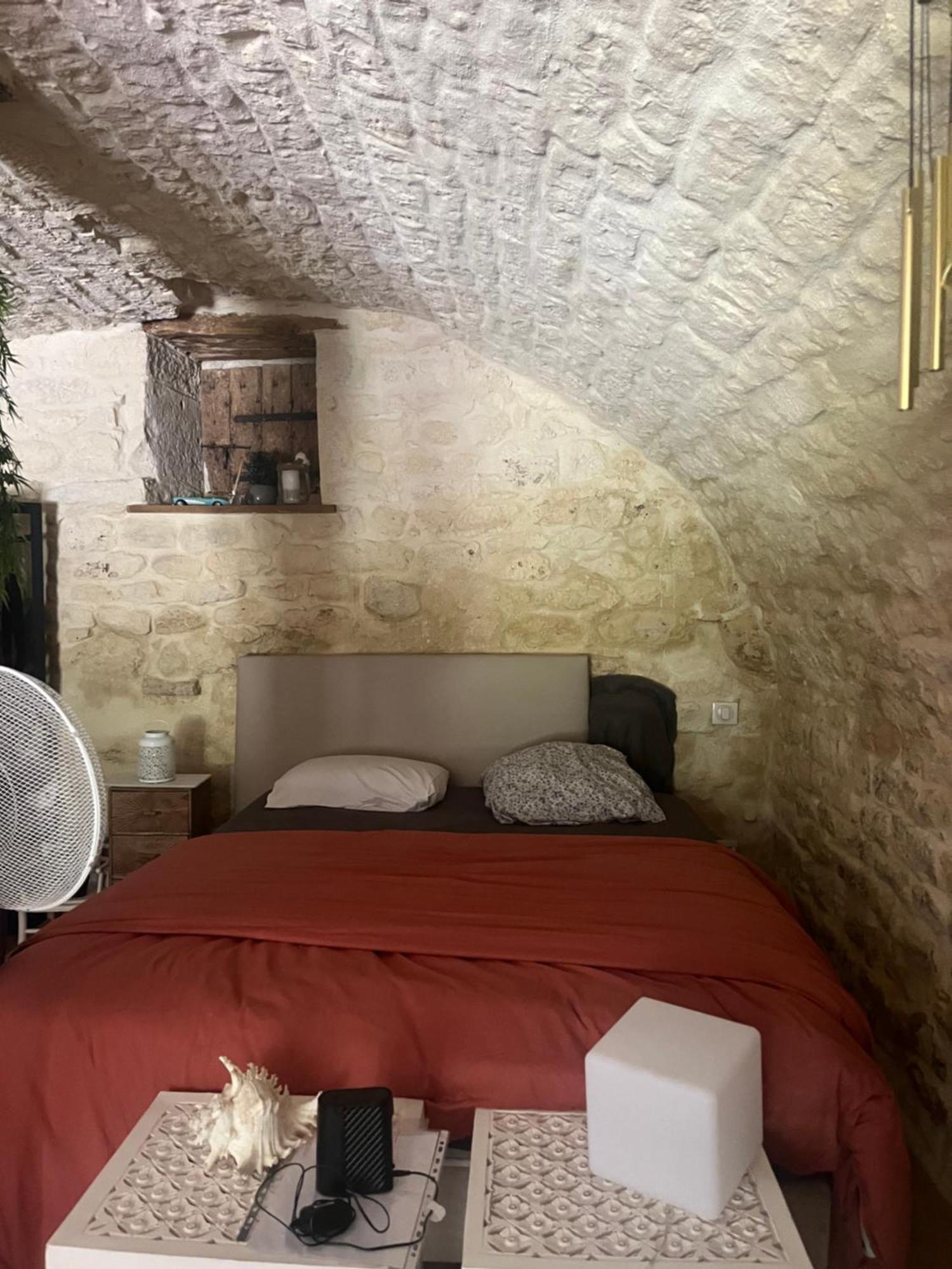 Appartamento Voute Des Anges Type Loft Sans Cloison Castelnau-Montratier Esterno foto